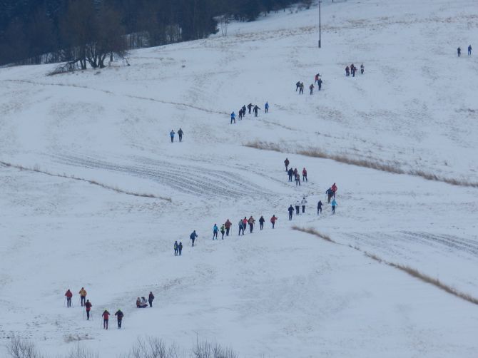 bežka 2018